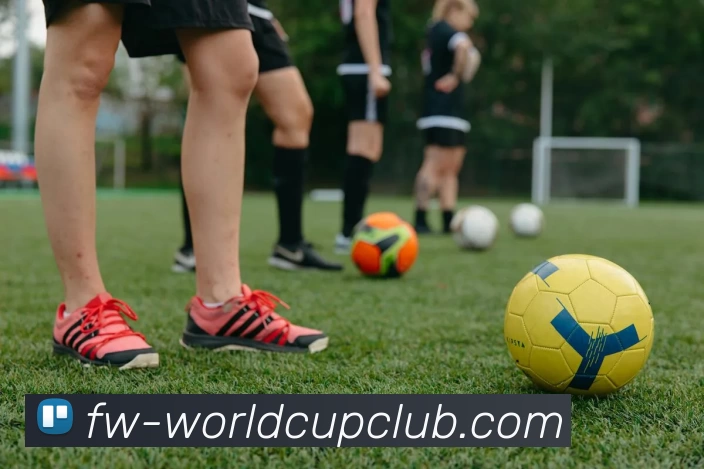 世界杯官网发展历程